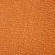 Corail