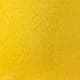 Yellow Citron