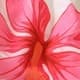 Pink Saumon