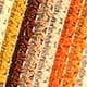 Multicolor