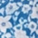 Blue and White