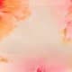 Watermelon Pink