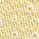 Yellow Citron