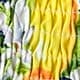 Yellow Citron