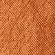 Coral Orange