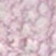 Pink PâLe