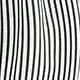 Black and White