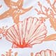 Coral Orange