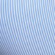 Blue and White