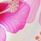Pink Bonbon