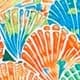 Multicolor