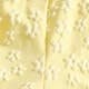 Yellow Citron