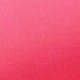 Rose vif