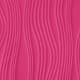 Rose vif