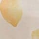 Yellow Citron