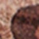 Mocha Brown