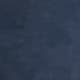 Blue Navy