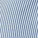 Blue and White