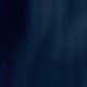 Blue Navy