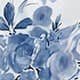 Blue Azur