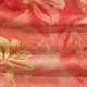 Corail