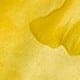 Pale Yellow