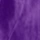 Prune