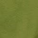 Green Olive