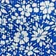 Blue and White