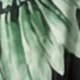 Vert menthe