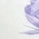 Mauve Purple