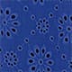 Blue Indigo