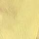 Yellow Citron