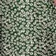 Green Sapin