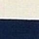 Blue Navy