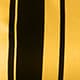 Yellow Citron