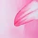 Rose bonbon