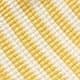 Yellow Citron