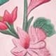 Pink Bonbon