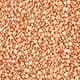 Coral Orange
