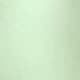 Aqua Green