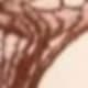 Hole brown