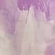 Prune
