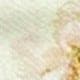 Jaune clair
