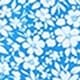 Bleu azur