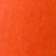 Coral Orange