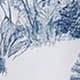 Blue and White