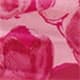 Rose vif