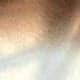 Multicolor