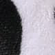 Black and White